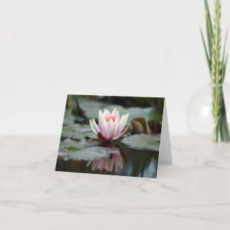 Carte de Reflections_note