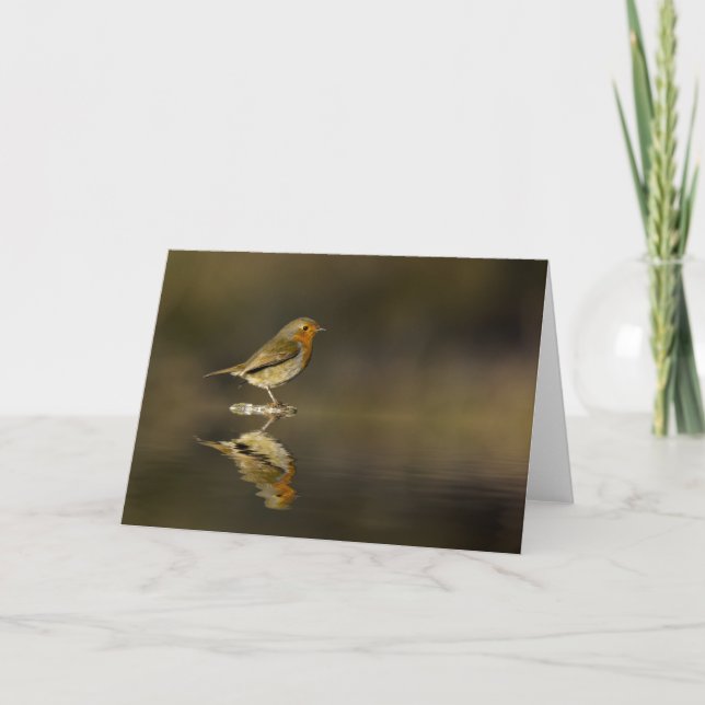 Carte de réflexion Robin de carte (Devant)