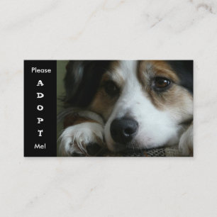 Carte de refuge pour chiens de travail de berger a