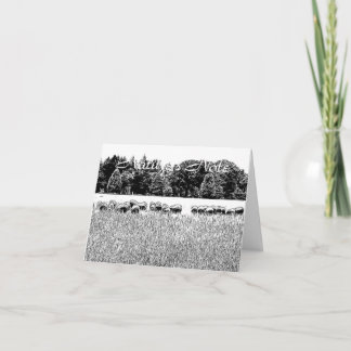 CARTE DE REMARQUE ANIMALE SHEEP FIELD