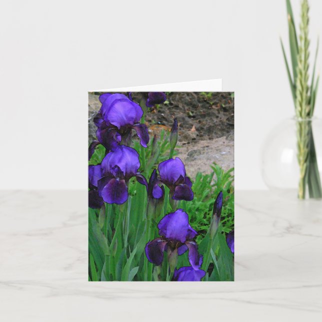 CARTE DE REMARQUE, "DEEP-PURPLE IRISES" /PHOTOG. (Devant)