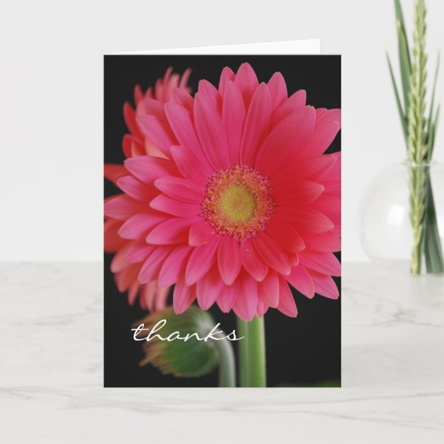 Carte de remerciement avec gerbera rose (Devant)