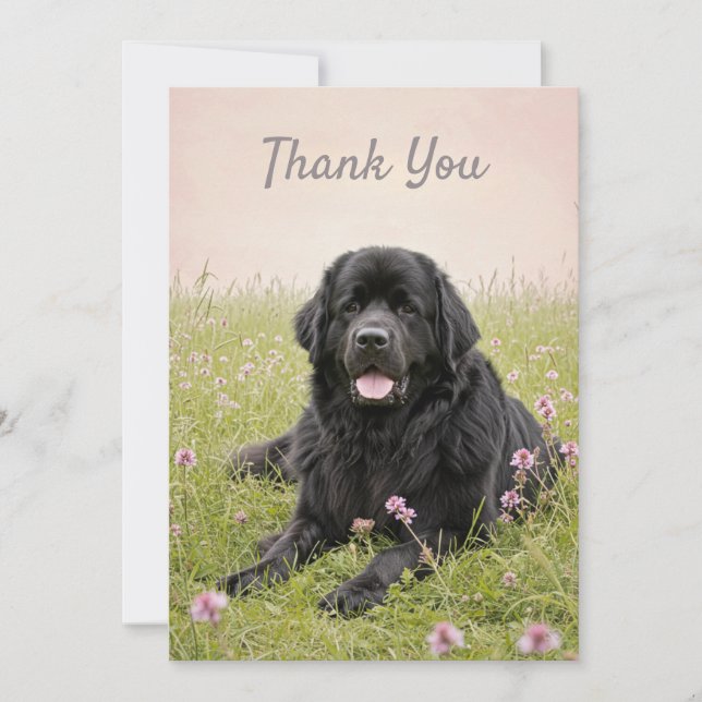 Carte de remerciement avec un chien de Terre-Neuve (Devant)