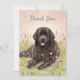 Carte de remerciement avec un chien de Terre-Neuve