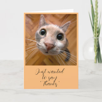 Carte de remerciement Chat roux