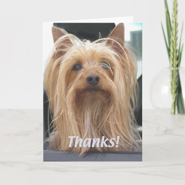 Carte de remerciement Chien Mignon (Devant)