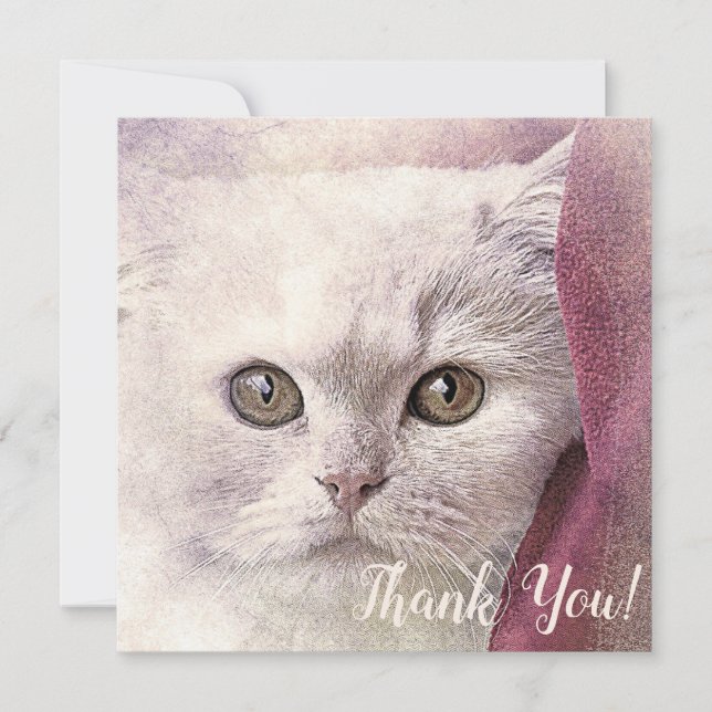 Carte de remerciement de chat (Devant)