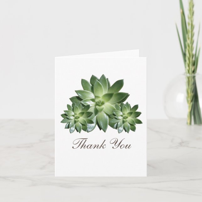 Carte de remerciement de mariage simple succulent (Devant)