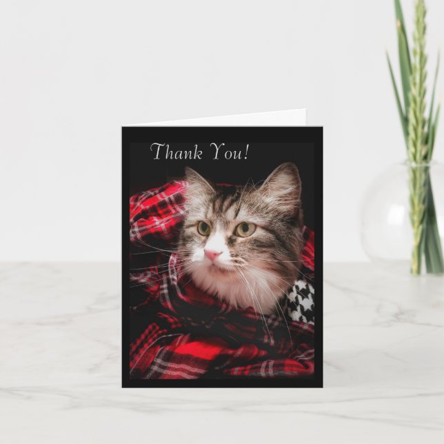 Carte de remerciement d'un Amoureux des chats (Devant)