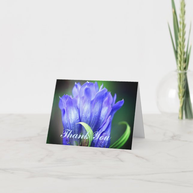 Carte de remerciement Fleur de Gentiane Bleue (Devant)