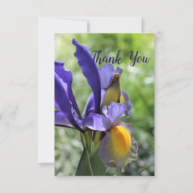 Carte de remerciement Iris Violet (Devant)
