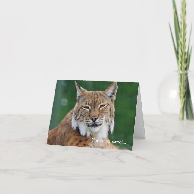Carte de remerciement personnalisée Bobcat (Devant)