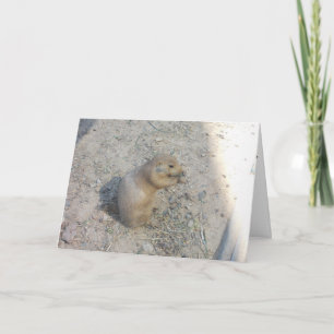 Carte de remerciement "Prairie Dog #2"