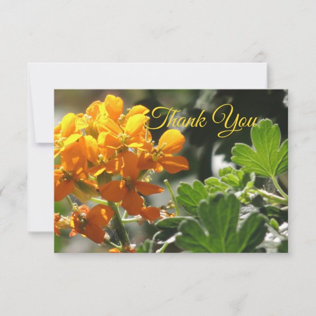 Carte de remerciement Wild Flower Flat (Devant)