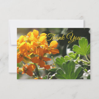 Carte de remerciement Wild Flower Flat