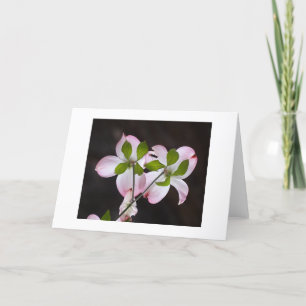 CARTE DE REMERCIEMENTS