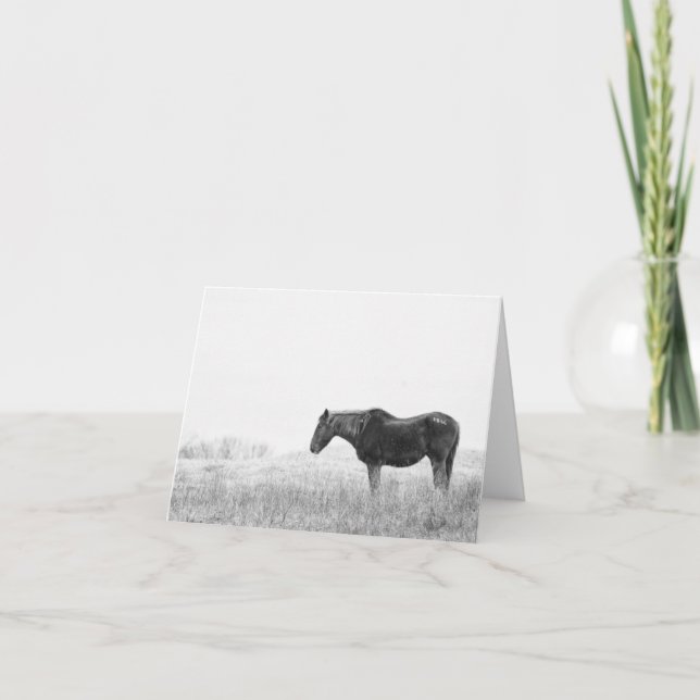 Carte De Remerciements #1866 Mustang sauvage (Devant)