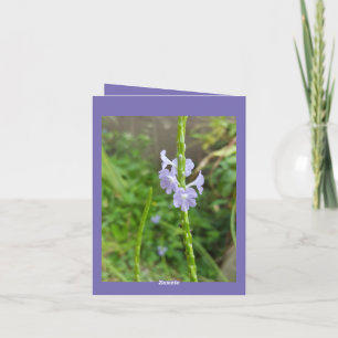 Carte de remerciements À Fleur De Herbes Photo