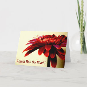 Carte de remerciements à fleurs de Gerbera rouge