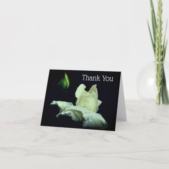 Carte de remerciements à fleurs de rose blanche (Devant)