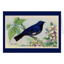 Carte de remerciements à ornithologie noire