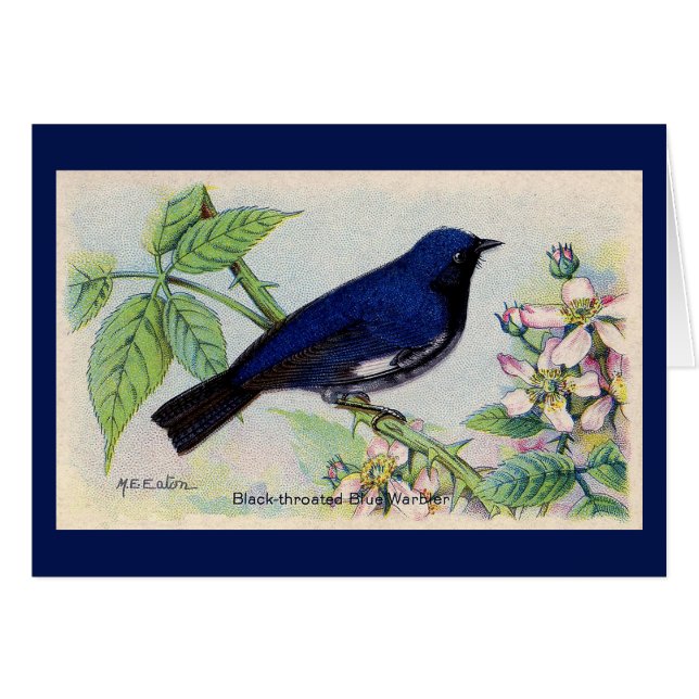 Carte de remerciements à ornithologie noire (Devant horizontal)