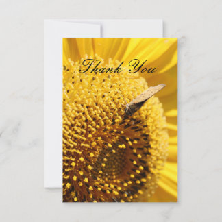 Carte de remerciements à skipper tournesol