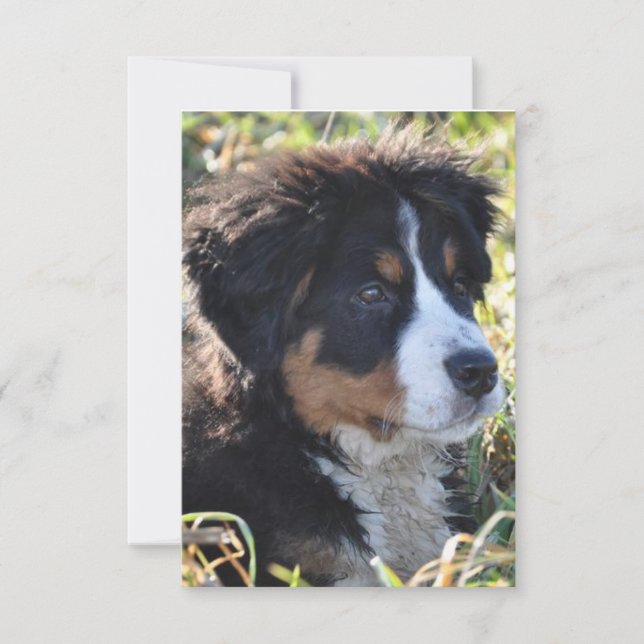 Carte de remerciements à thème de chien - Carte de (Devant)