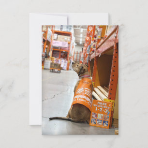 Carte De Remerciements Accueil Amélioration carnet de costume Funny Chien