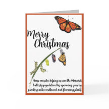 Aide à sauver le papillon Monarque