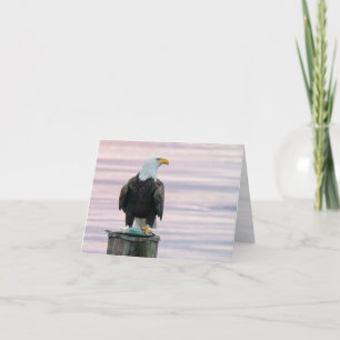 Carte De Remerciements Aigle Bald Avec Poisson Faune Photographie Vierge