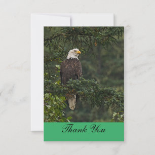 Carte De Remerciements Aigle de Bald