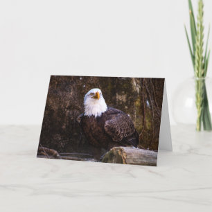 Carte De Remerciements Aigle de Bald