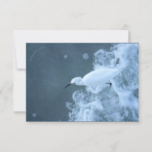 Carte De Remerciements Aiguilles/Mouettes de bétail et pouffin recyclés