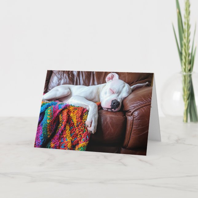 Carte De Remerciements Aimer Pitbull Chien Dormir sur le canapé (Devant)