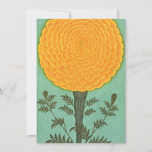 Carte De Remerciements Album de petite taille | A Marigold (Devant)