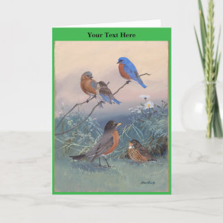 Carte De Remerciements Allan Brooks Birds no1