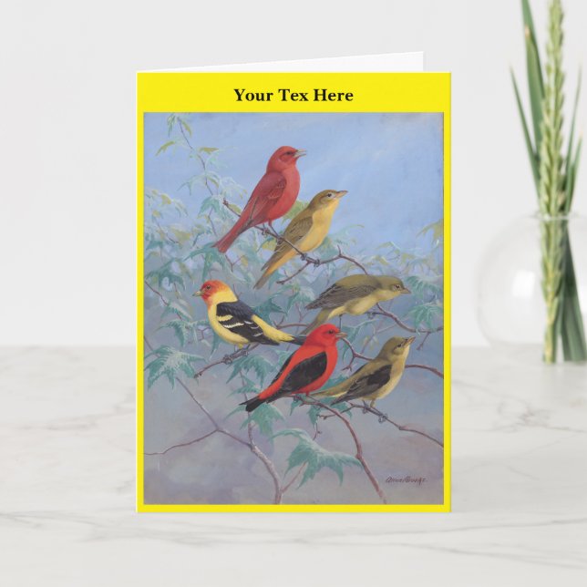 Carte De Remerciements Allan Brooks Birds no3 (Devant)