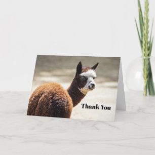 Carte De Remerciements Alpaca photo d'animaux Brown et blancs