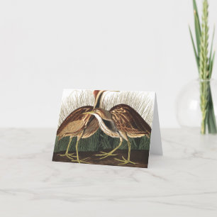 Carte De Remerciements American Bittern par John James Audubon