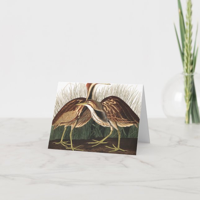 Carte De Remerciements American Bittern par John James Audubon (Devant)