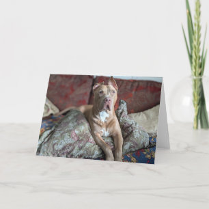 Carte De Remerciements Amour de Pitbull