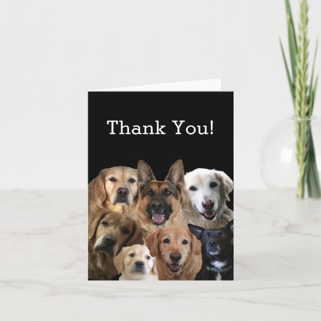 Carte de remerciements Amoureux des chiens (Devant)