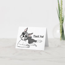 Amoureux des chiens Boston Terrier