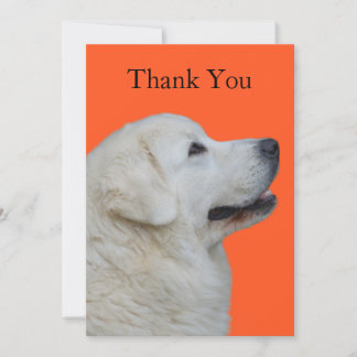 Carte de remerciements amusante avec le chien polo