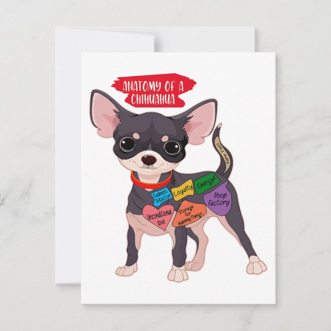 Carte De Remerciements Anatomie Du Cadeau Du Chihuahua (Devant)