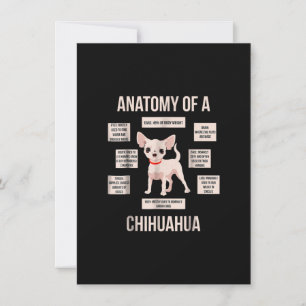 Carte De Remerciements Anatomie d'un chihuahua drôle de cadeau de chiot