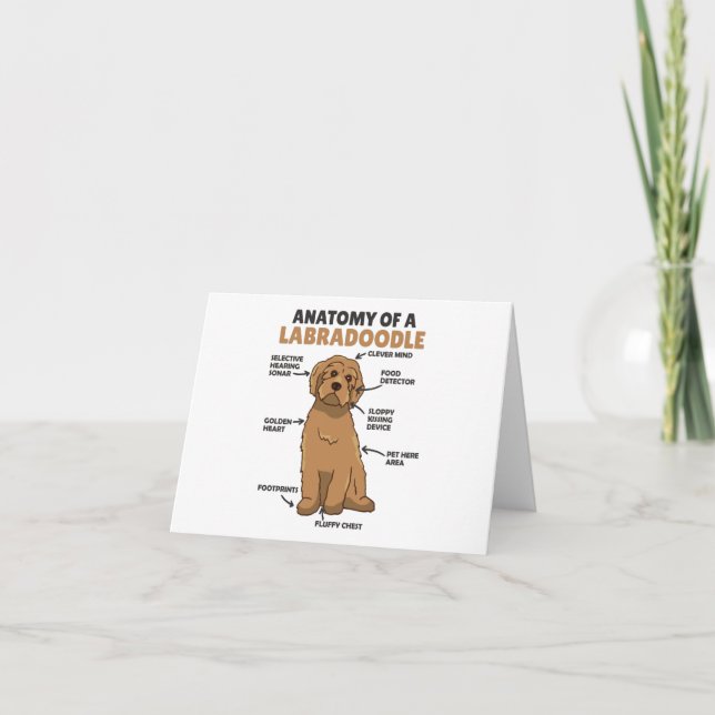 Carte De Remerciements Anatomie D'Un Labradoodle Cute Canine Chiot (Devant)