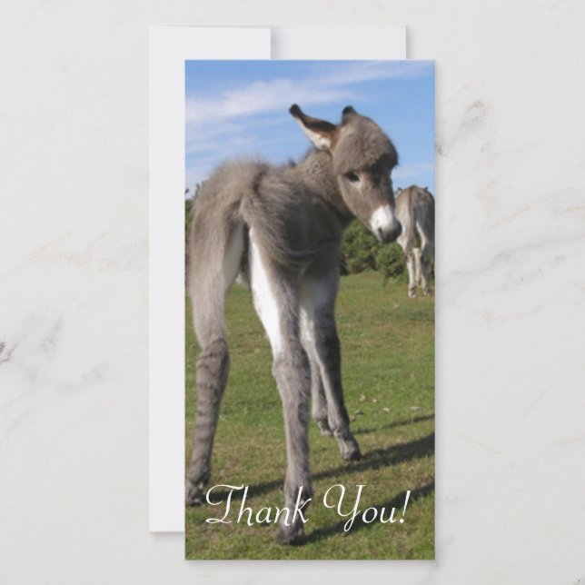 Carte De Remerciements Âne pelucheux de bébé avec la maman (Devant)