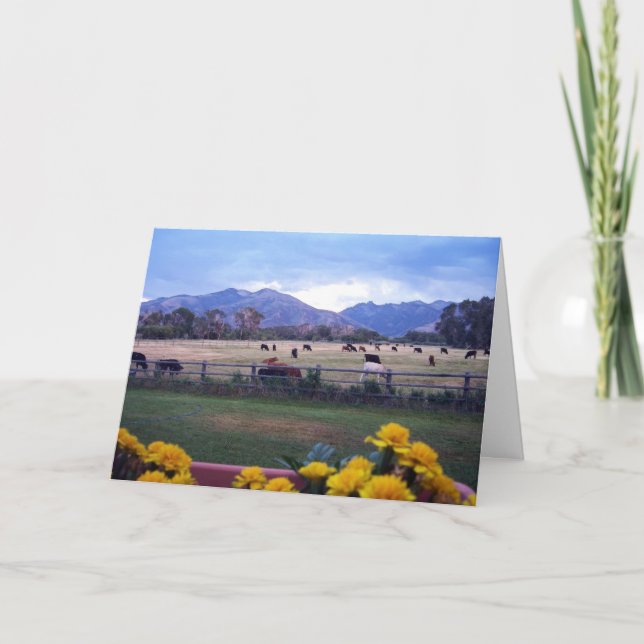 Carte De Remerciements Angus sur le pâturage (Devant)